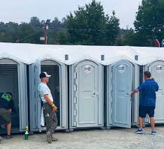 Types of Portable Toilets We Offer in Smith Valley, NV